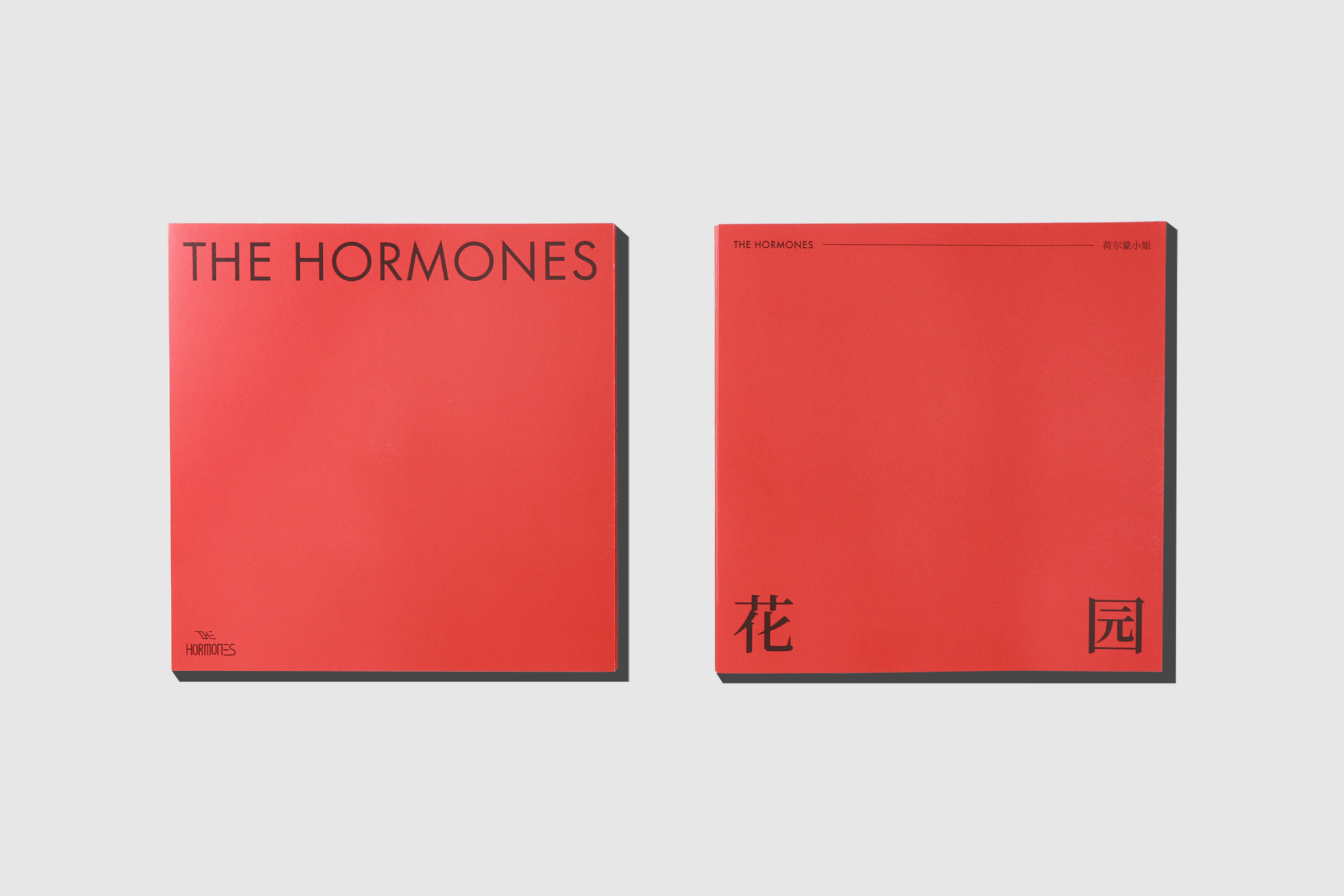 橙社odl the hormones hy