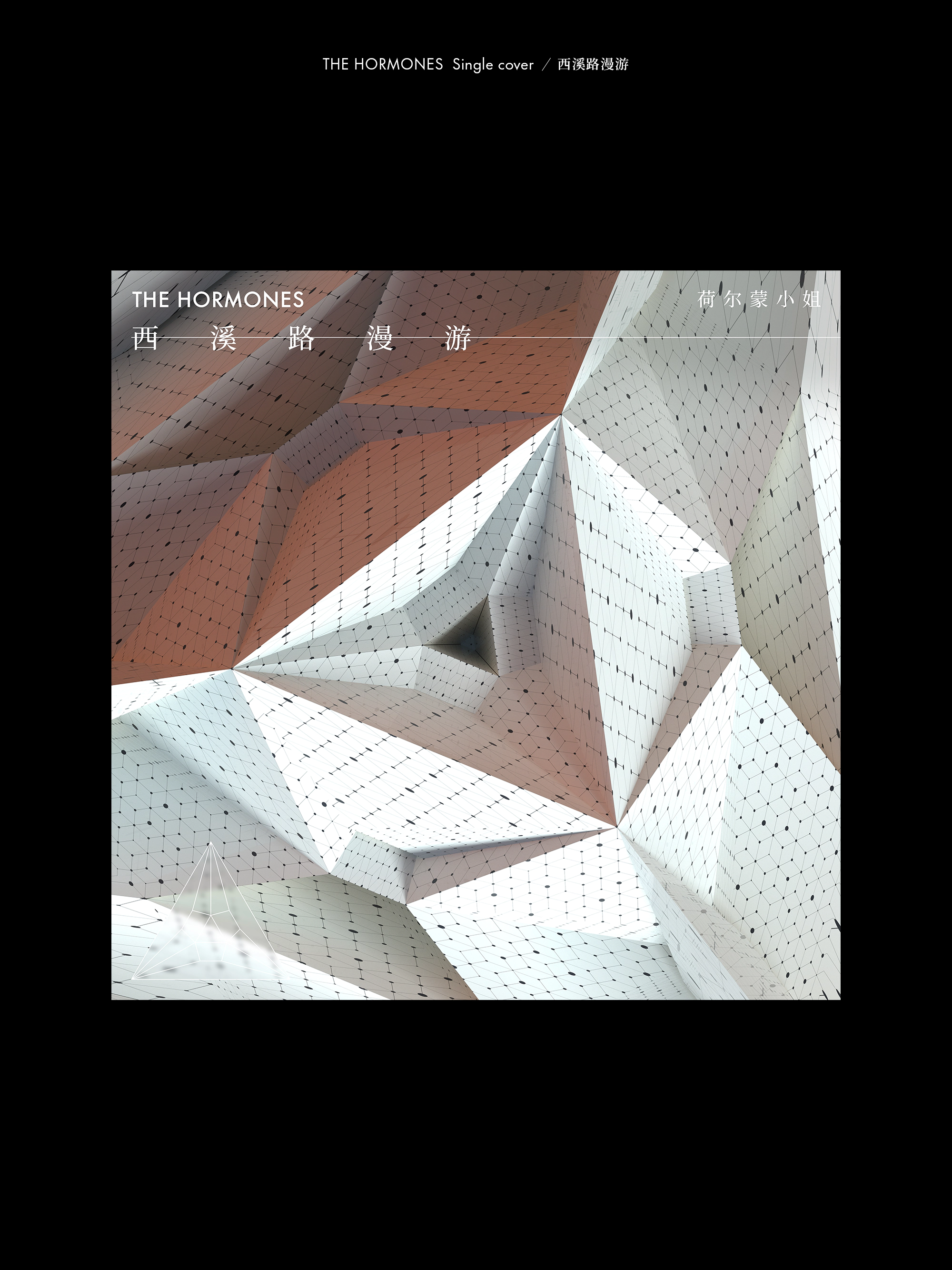 橙社odl the hormones hy