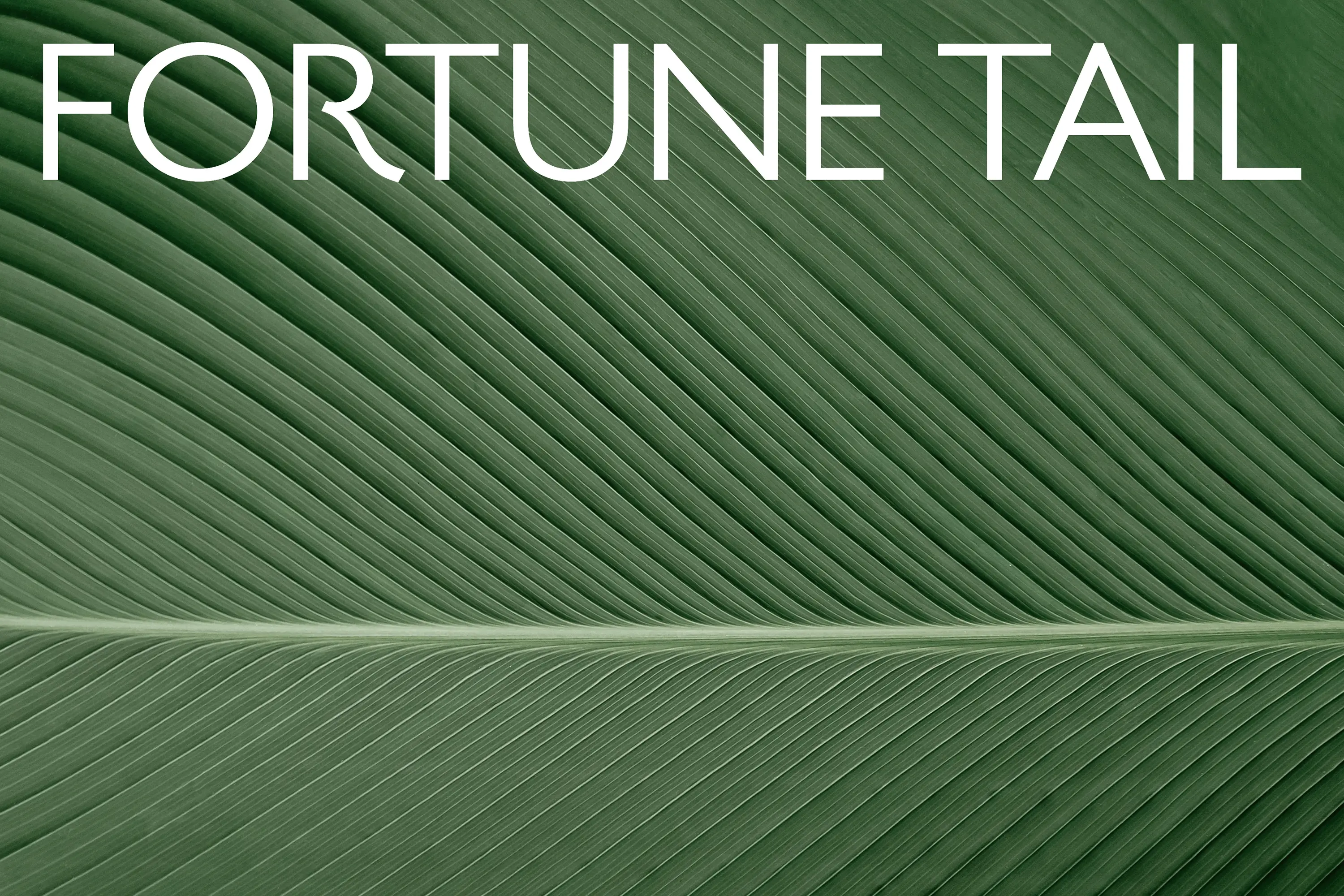 橙社odl 花前酒下