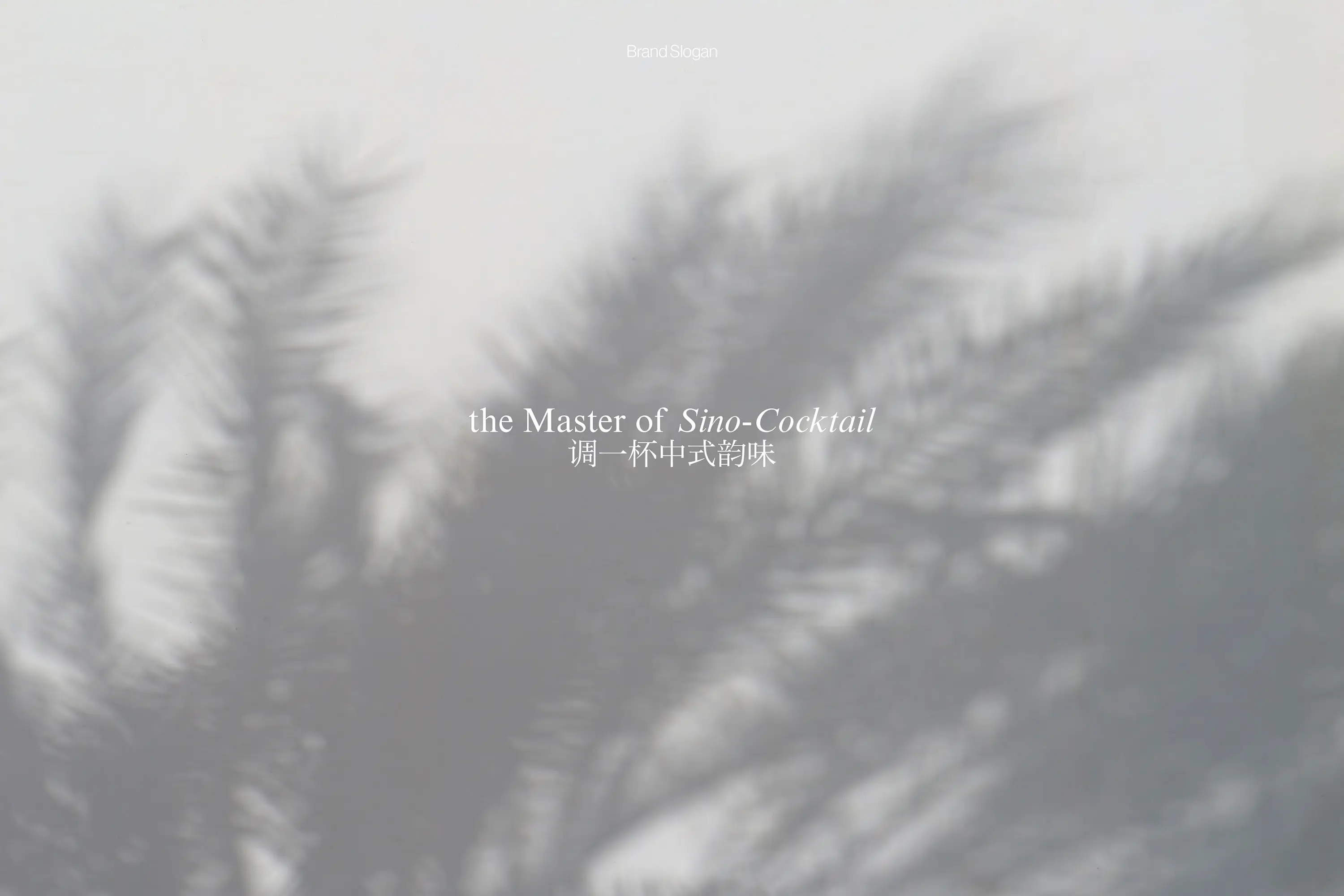 橙社odl 花前酒下